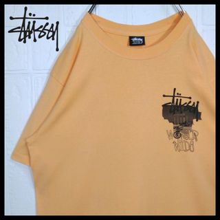 ステューシー(STUSSY)の《STUSSY/ステューシー》アート　フォトプリント　Tシャツ　半袖(Tシャツ/カットソー(半袖/袖なし))