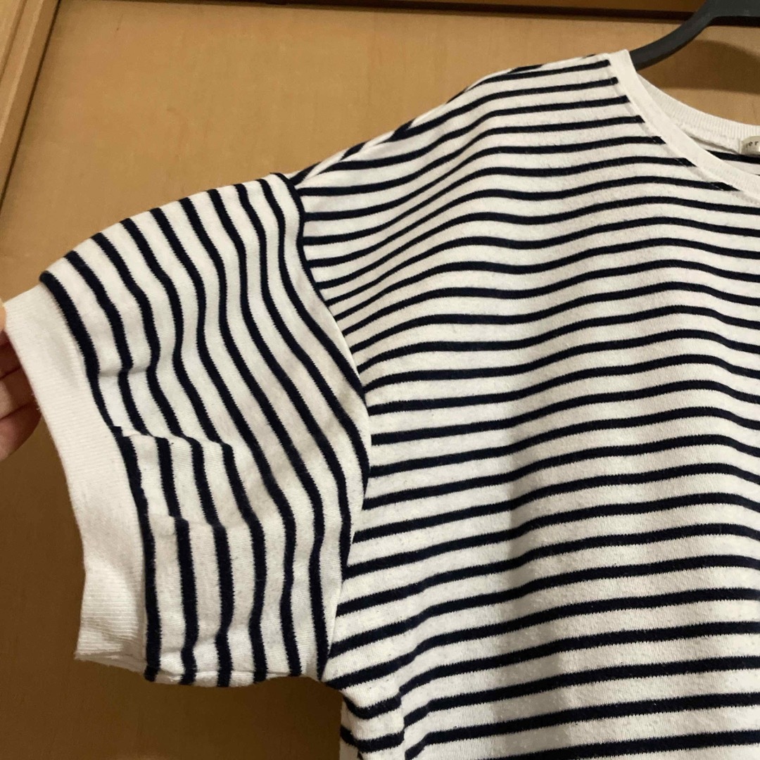 しまむら(シマムラ)のボーダーＴ レディースのトップス(Tシャツ(半袖/袖なし))の商品写真