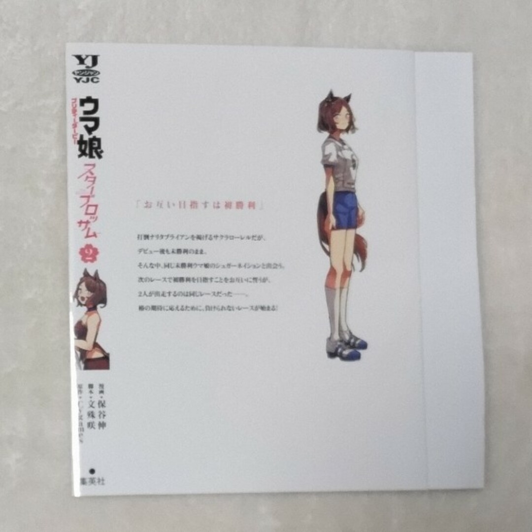 ウマ娘 スターブロッサム かけ替えカバー エンタメ/ホビーの漫画(その他)の商品写真