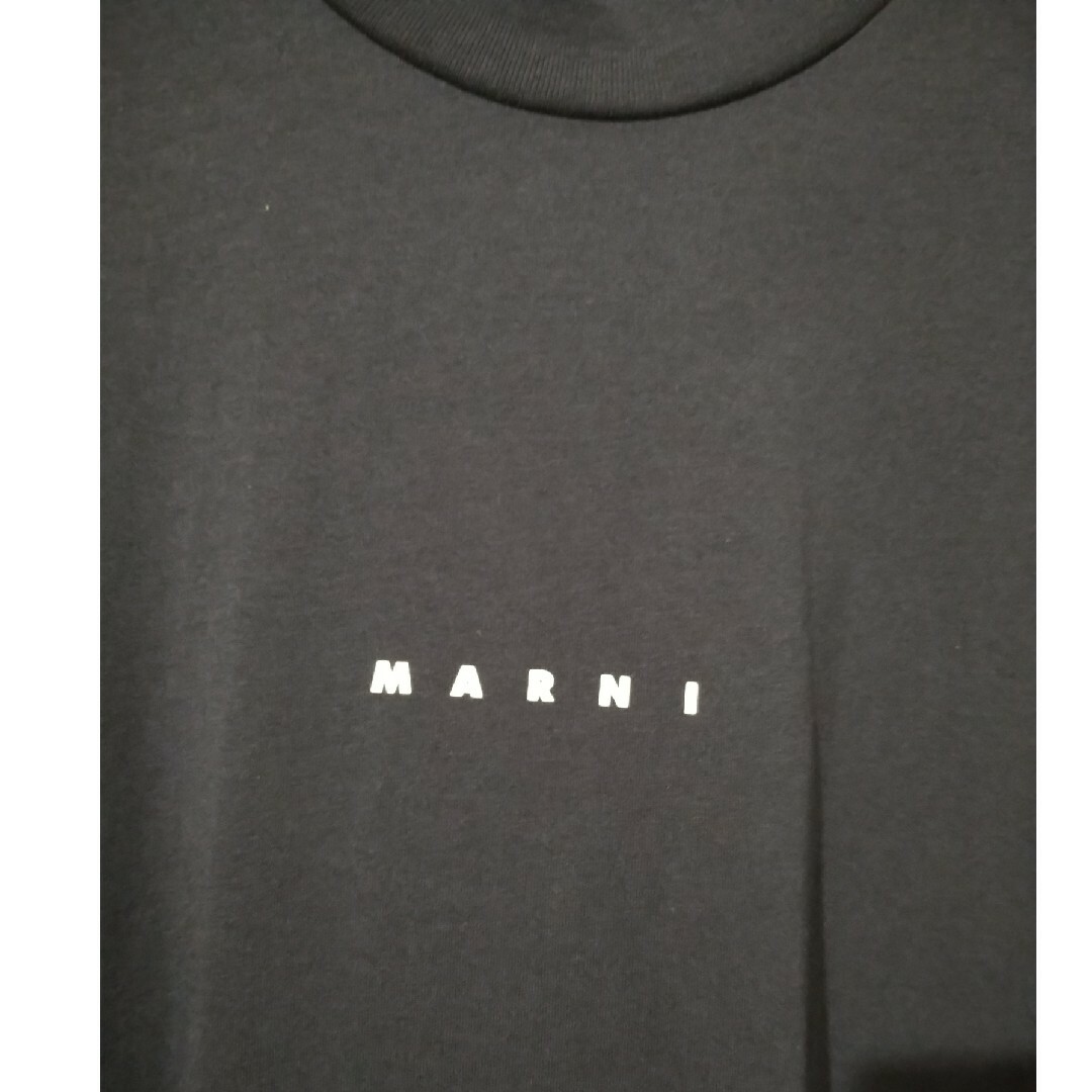 Marni(マルニ)のMARNIコットンTシャツ新品未使用36 レディースのトップス(Tシャツ(半袖/袖なし))の商品写真