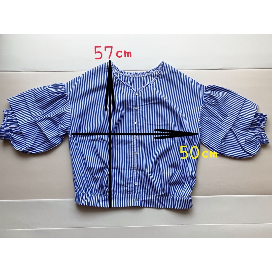 BACK NUMBER(バックナンバー)のライトオン　バックナンバー　ストライプ　シャツ・ブラウス　ランタンスリーブ レディースのトップス(シャツ/ブラウス(半袖/袖なし))の商品写真
