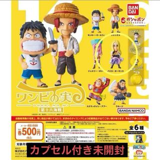 ワンピース(ONE PIECE)のワンピの実　第十六海戦　ホーキンス(アニメ/ゲーム)