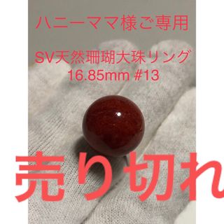 SV天然珊瑚リング　16.85mm. #13(リング(指輪))