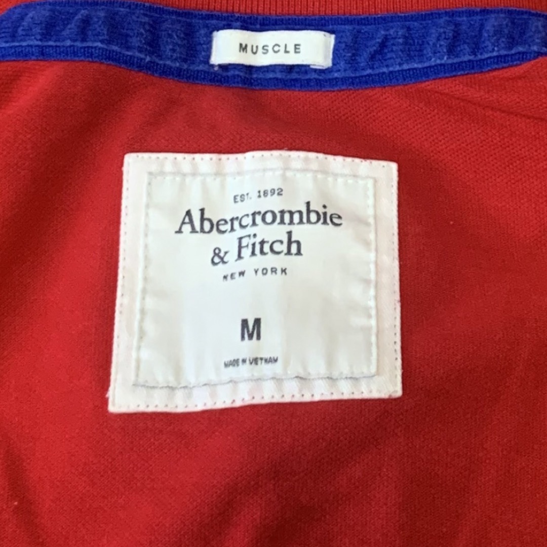 Abercrombie&Fitch(アバクロンビーアンドフィッチ)のアバクロンビー＆フィッチ　半袖ポロシャツ　Mサイズ　刺繍ロゴ レディースのトップス(ポロシャツ)の商品写真