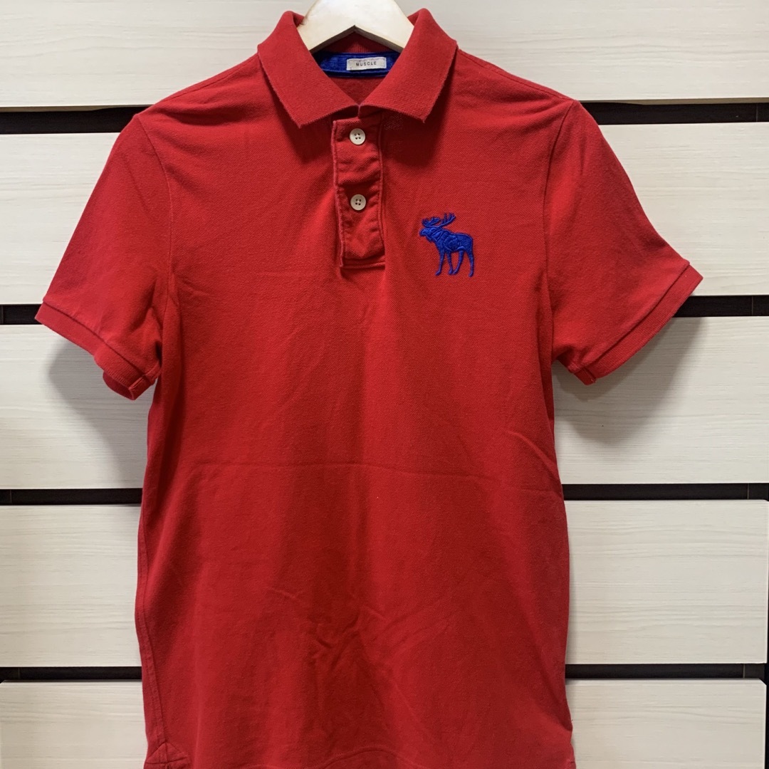 Abercrombie&Fitch(アバクロンビーアンドフィッチ)のアバクロンビー＆フィッチ　半袖ポロシャツ　Mサイズ　刺繍ロゴ レディースのトップス(ポロシャツ)の商品写真