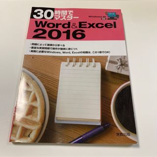 30時間でマスターWord & Excel 2016