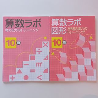 算数ラボ　10級　裁断済み(その他)