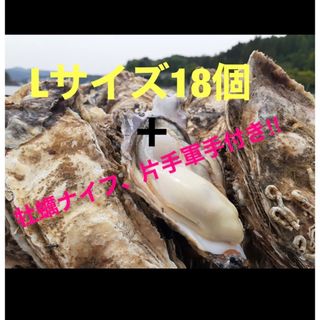 生牡蠣の名産地 南三陸産　Lサイズ真牡蠣18個＋牡蠣ナイフ、片手軍手付き‼︎(魚介)