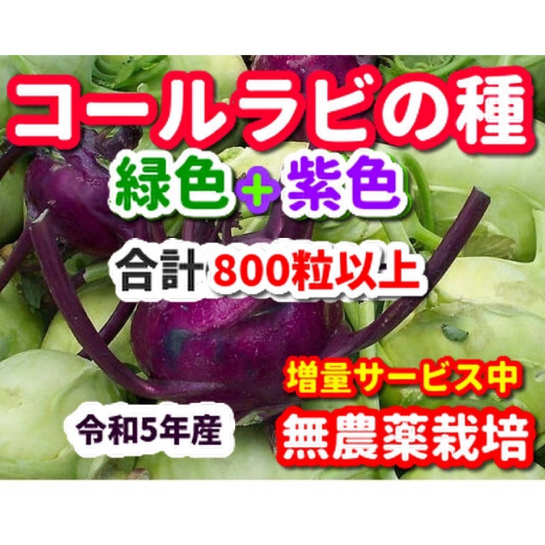 yukima様専用★コールラビ種・合計800粒【各色400粒】＋他2セット 食品/飲料/酒の食品(野菜)の商品写真