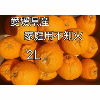 愛媛県産不知火家庭用２Lサイズ　箱込み約４．５kg