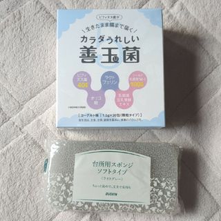 ダスキン(DUSKIN)のダスキン　善玉菌　スポンジおまけ(その他)