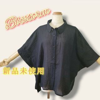 涼しげ♪新品未使用☆ シースルー モモンガシャツ ブラック LL(シャツ/ブラウス(半袖/袖なし))