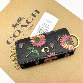 COACH - ✨日本未発売✨COACH コーチ ペンケース 筆記用具入れ COACH - ✨日本未発売✨COACH コーチ ペンケース 筆記用具入れ