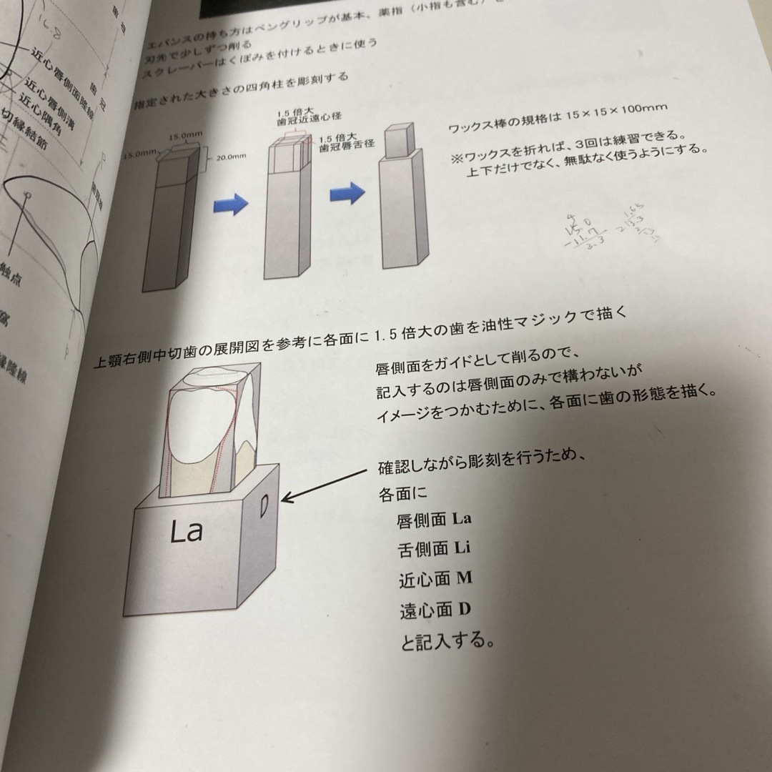 日本歯科大学　歯の解剖学実習テキスト＋資料 エンタメ/ホビーの本(資格/検定)の商品写真