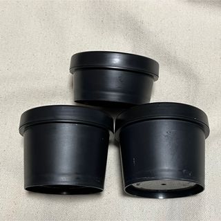 ラッシュ(LUSH)のラッシュ LUSH 容器(その他)