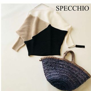 SPECCHIO - 【未使用】タグ付　スペッチオ　長袖ドルマンスリーブ　シャトルプリーツカットソー