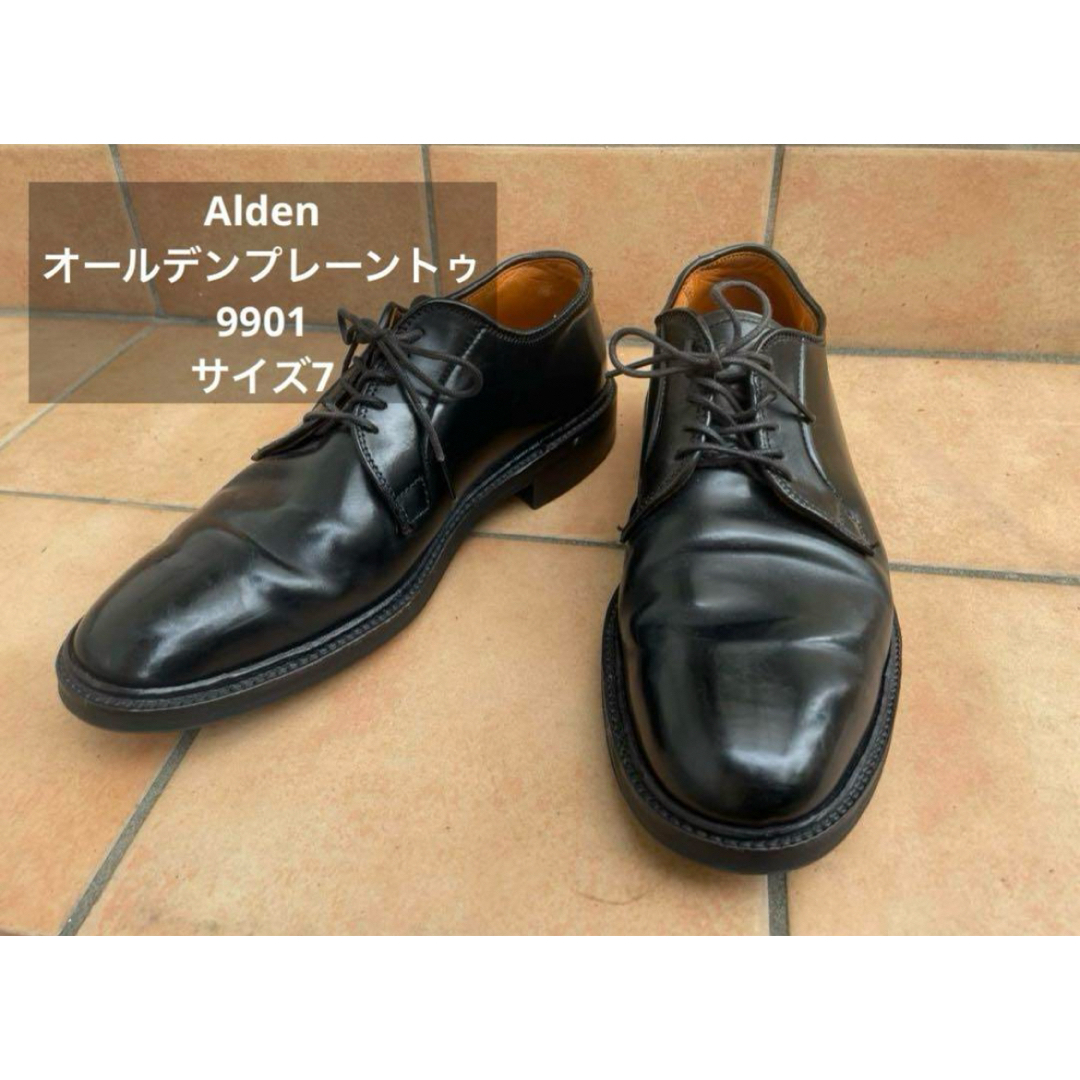 Alden(オールデン)のAlden オールデンプレーントゥ 9901サイズ7コードバン メンズの靴/シューズ(ドレス/ビジネス)の商品写真