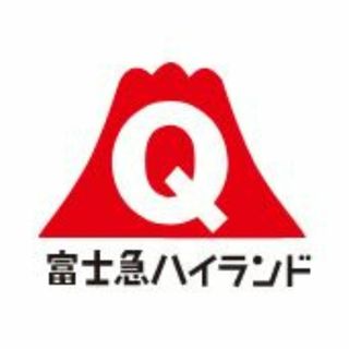 富士急ハイランド フリーパス 2名分と引き換え可   富士急行 株主優待 10枚