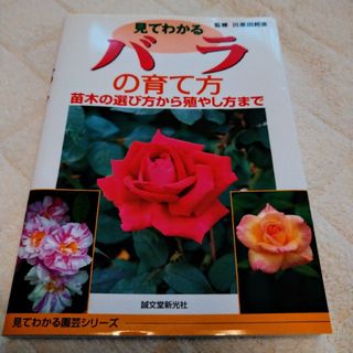 見てわかるバラの育て方 : 苗木の選び方から殖やし方まで(趣味/スポーツ/実用)