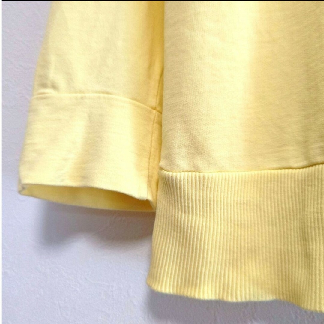 cham girl 薄手 トレーナー スウェット 綿100％ tシャツ長袖 LL レディースのトップス(Tシャツ(長袖/七分))の商品写真