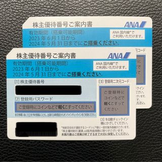 エーエヌエー(ゼンニッポンクウユ)(ANA(全日本空輸))のANA 株主優待 チケット 2枚(その他)