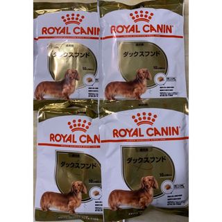 ROYAL CANIN - ロイヤルカナン　ダックスフンド　10カ月〜試供品　4袋