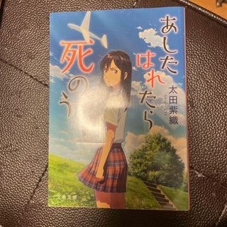 あしたはれたら死のう(文学/小説)