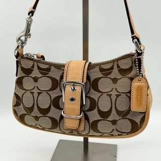 コーチ(COACH)の✨️美品✨️COACH シグネチャー ミニバッグ ハンドバッグ キャンバス(ハンドバッグ)