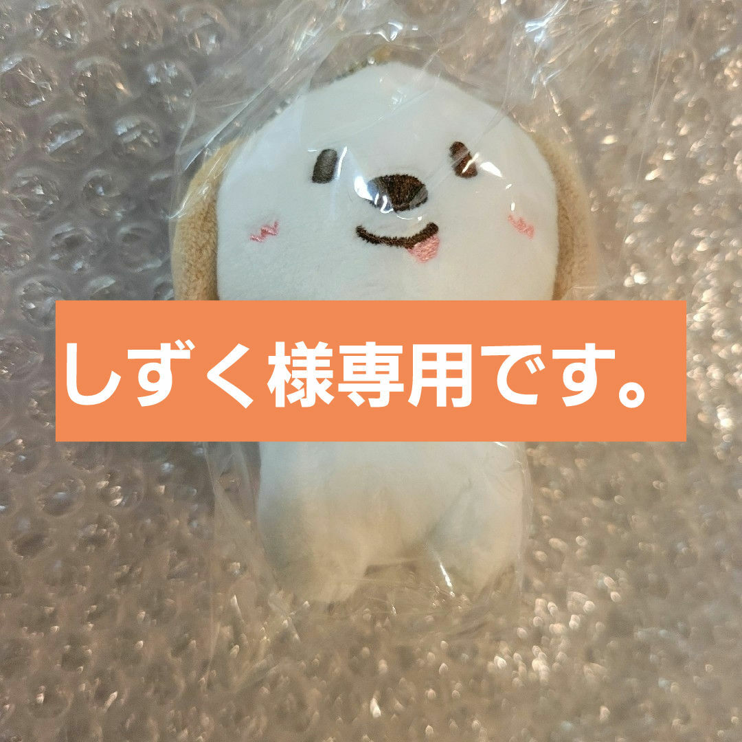 アントン　RIIZE　10CM DOLL KEY RING　ぬいぐるみ エンタメ/ホビーのタレントグッズ(アイドルグッズ)の商品写真