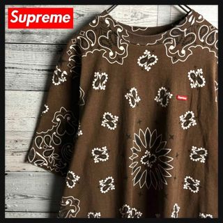 シュプリーム(Supreme)の【即完売】シュプリーム☆総柄入りスモールボックスロゴ入り半袖Tシャツ(Tシャツ/カットソー(半袖/袖なし))