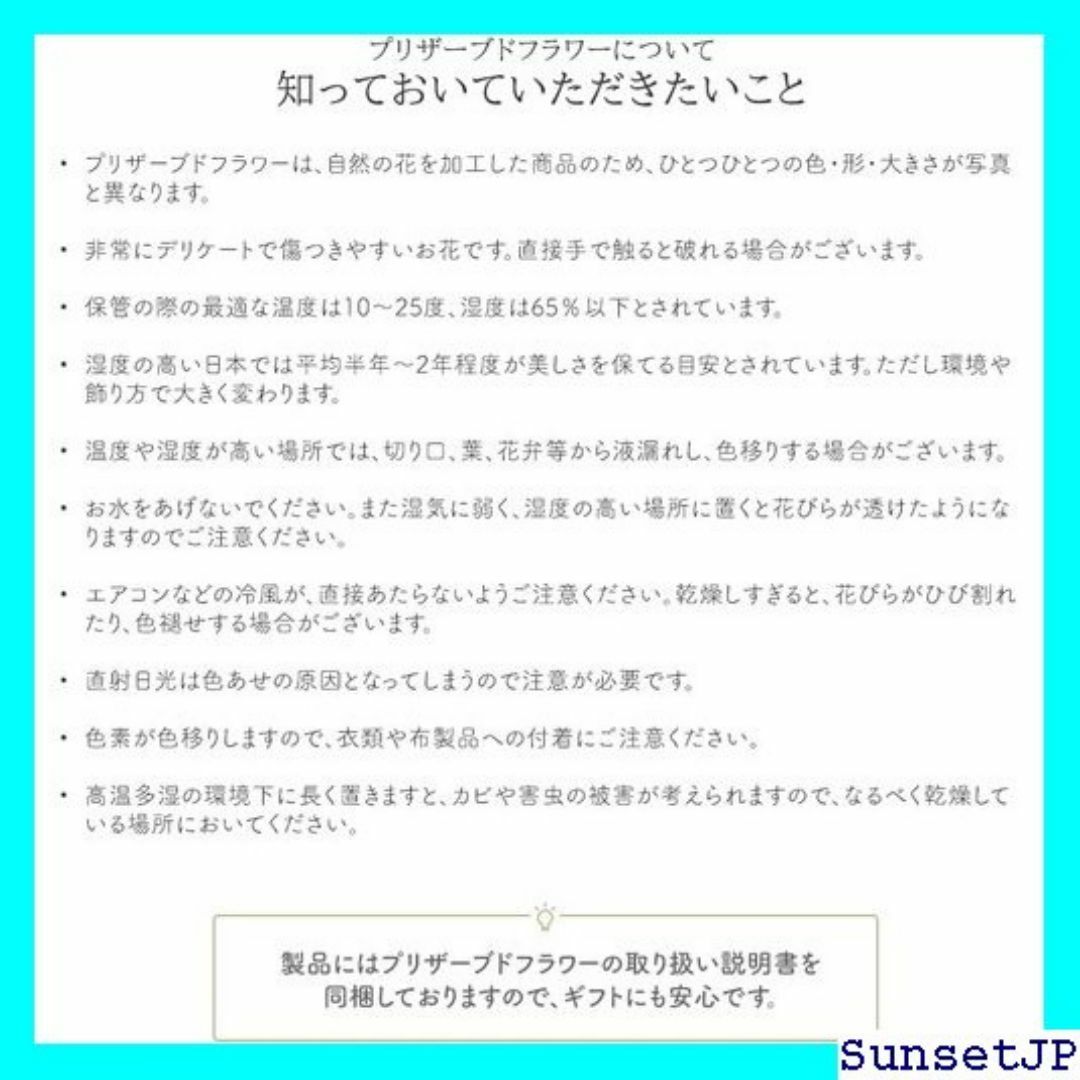 ☆母の日☆ Makefuture DiamondRose9 オプションなし 57 インテリア/住まい/日用品のインテリア/住まい/日用品 その他(その他)の商品写真