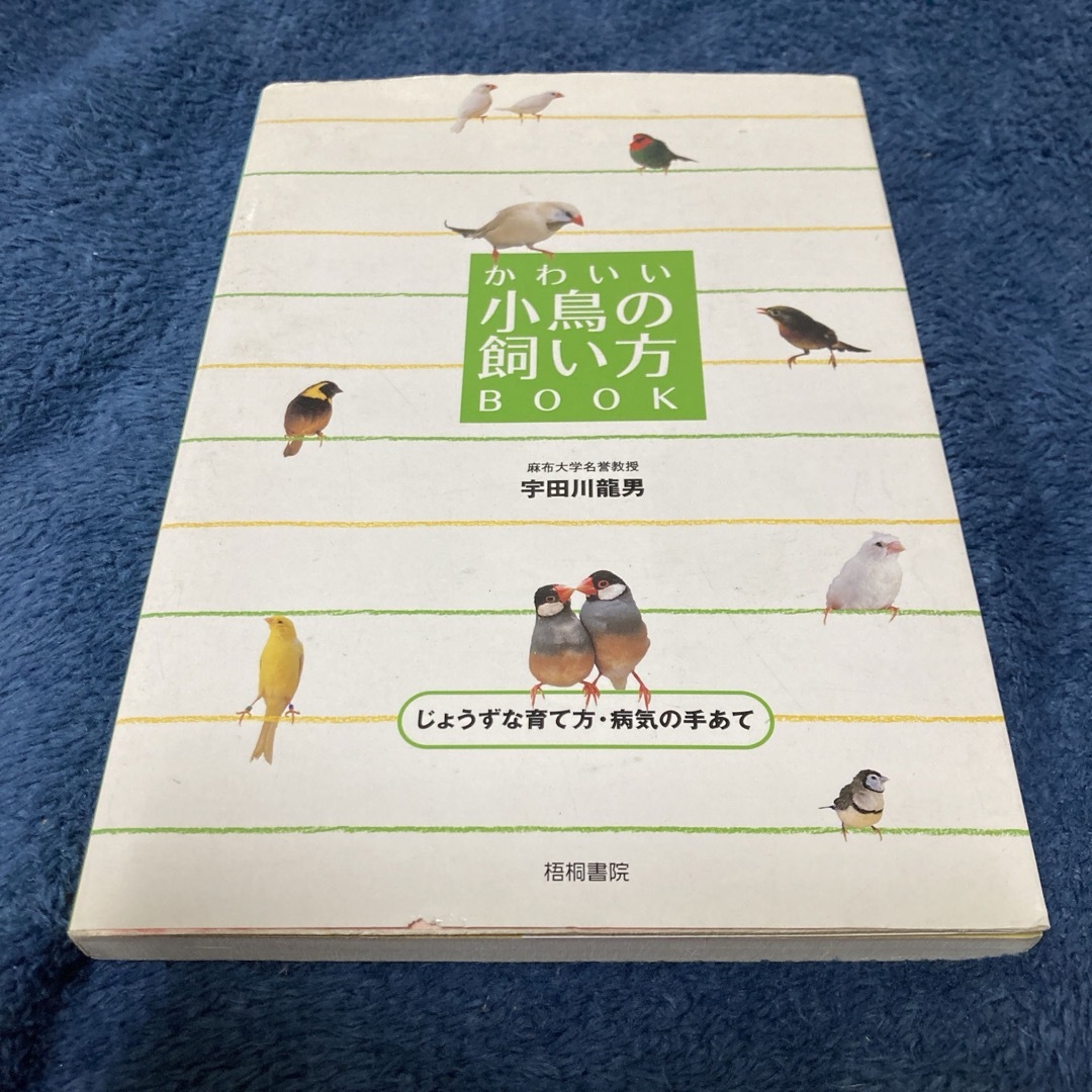 かわいい小鳥の飼い方ｂｏｏｋ　宇田川龍男 エンタメ/ホビーの本(その他)の商品写真