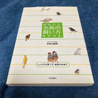 かわいい小鳥の飼い方ｂｏｏｋ　宇田川龍男