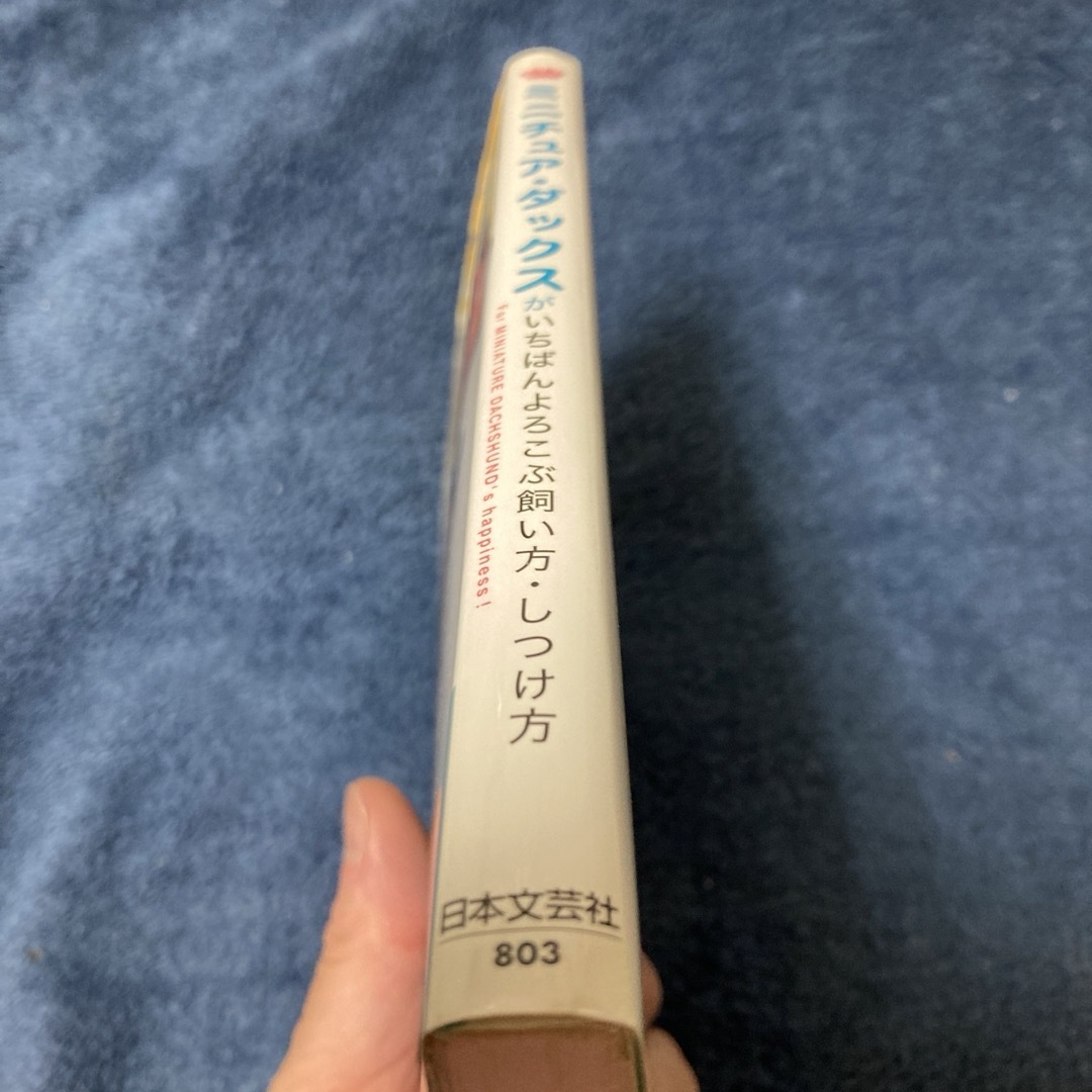 ミニチュア・ダックスがいちばんよろこぶ飼い方・しつけ方 エンタメ/ホビーの本(住まい/暮らし/子育て)の商品写真