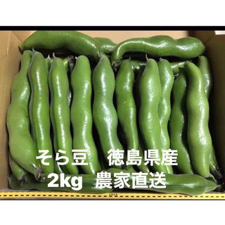 そら豆　徳島県産　2kg箱込　ヤマト宅急便　リサイクル箱配送(野菜)