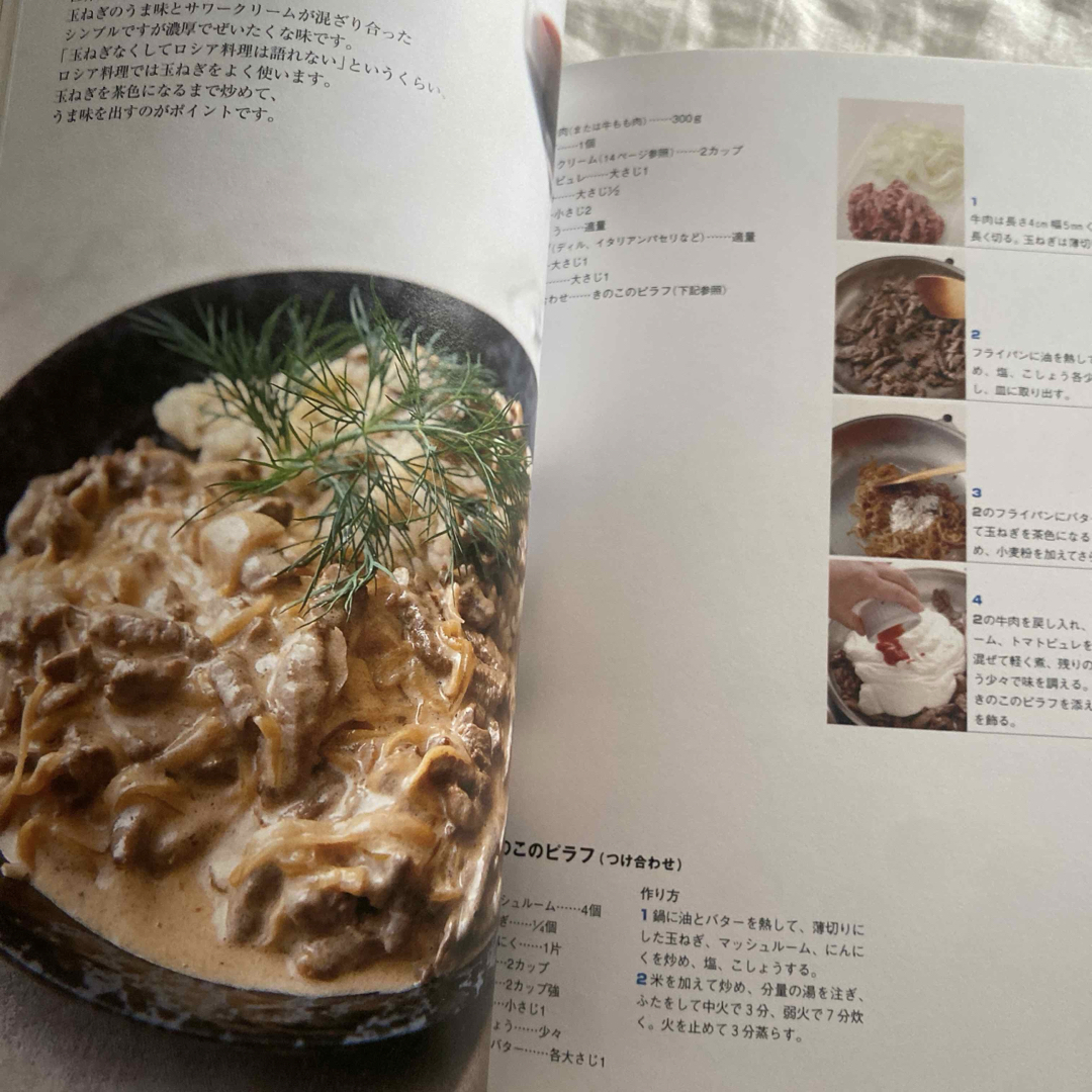 家庭で作れるロシア料理 ダーチャの菜園の恵みがいっぱい! エンタメ/ホビーの本(料理/グルメ)の商品写真