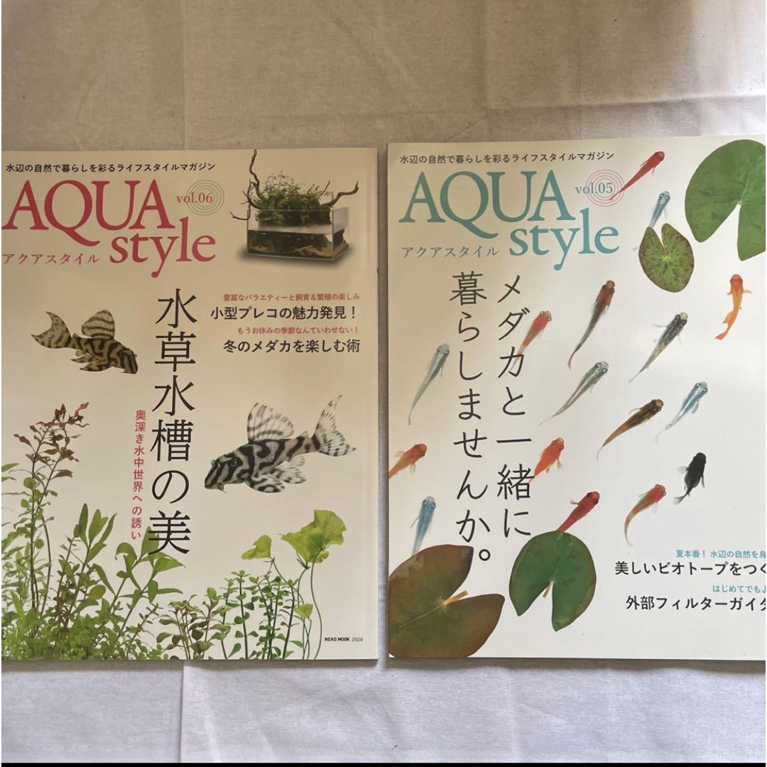 Aqua Style  vol.1〜6セット　メダカ　金魚　飼い方　雑誌　アクア エンタメ/ホビーの雑誌(趣味/スポーツ)の商品写真