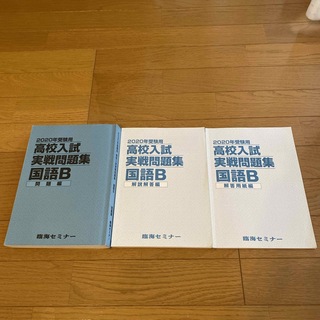 高校入試実戦問題　国語B  2020 臨界セミナー(語学/参考書)