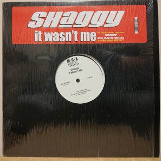 シュプリーム(Supreme)のIT WASN'T ME / SHAGGY(その他)