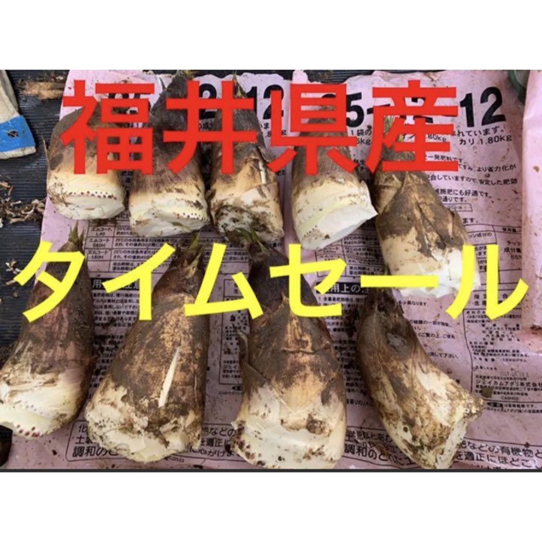 【早い者勝ち】たけのこ　タケノコ 筍 無農薬　自宅用 【おまけ付き】 食品/飲料/酒の食品(野菜)の商品写真