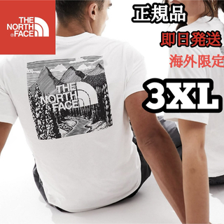 ザノースフェイス(THE NORTH FACE)のノースフェイス メンズ Tシャツ 半袖 ビックサイズ スクエア 3XL 4L(Tシャツ/カットソー(半袖/袖なし))