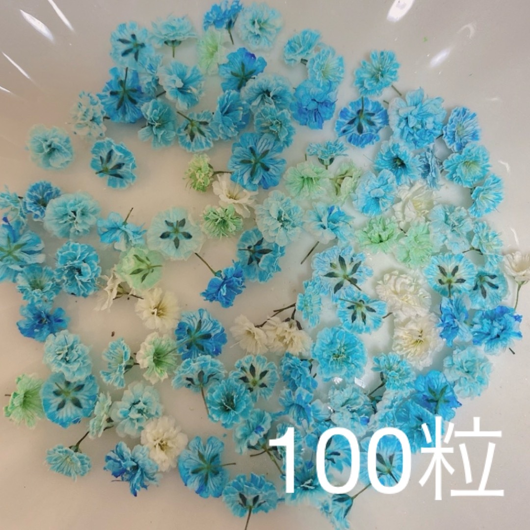 ブルー系 かすみ草ドライフラワー100粒 ハンドメイドのフラワー/ガーデン(ドライフラワー)の商品写真