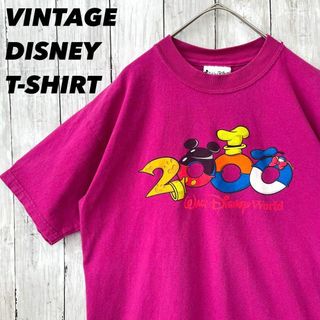 Disney - ヴィンテージ古着　DISNEYウォルトディズニーワールド2000プリントTシャツ