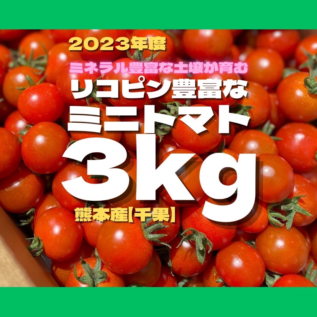 ミニトマト　3キロ　野菜　熊本産　弁当　おやつ　ミネラル 食品/飲料/酒の食品(野菜)の商品写真