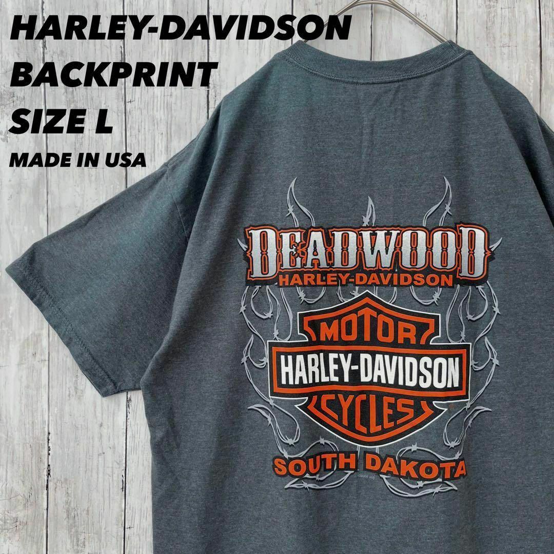 Harley Davidson(ハーレーダビッドソン)のUSA製ヴィンテージ古着　ハーレーダビッドソンバックプリントTシャツ Lグレー メンズのトップス(Tシャツ/カットソー(半袖/袖なし))の商品写真