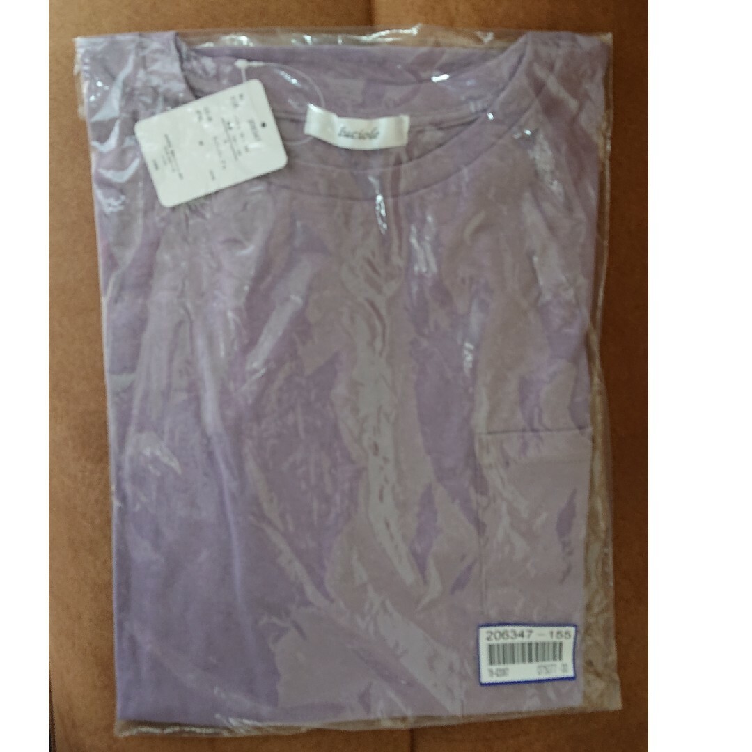 BELLUNA未開封半袖シャツ レディースのトップス(Tシャツ(半袖/袖なし))の商品写真