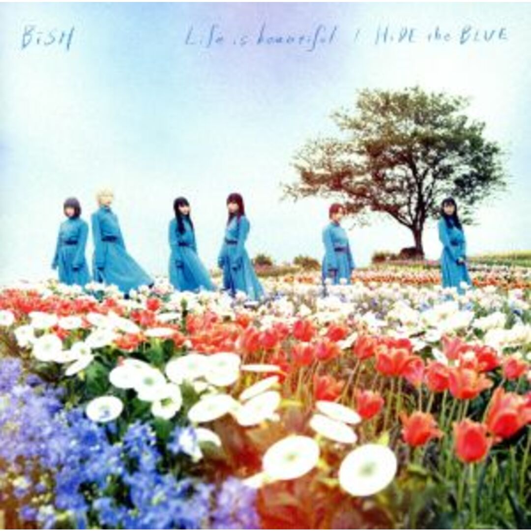 Ｌｉｆｅ　ｉｓ　ｂｅａｕｔｉｆｕｌ／ＨｉＤＥ　ｔｈｅ　ＢＬＵＥ エンタメ/ホビーのCD(ポップス/ロック(邦楽))の商品写真