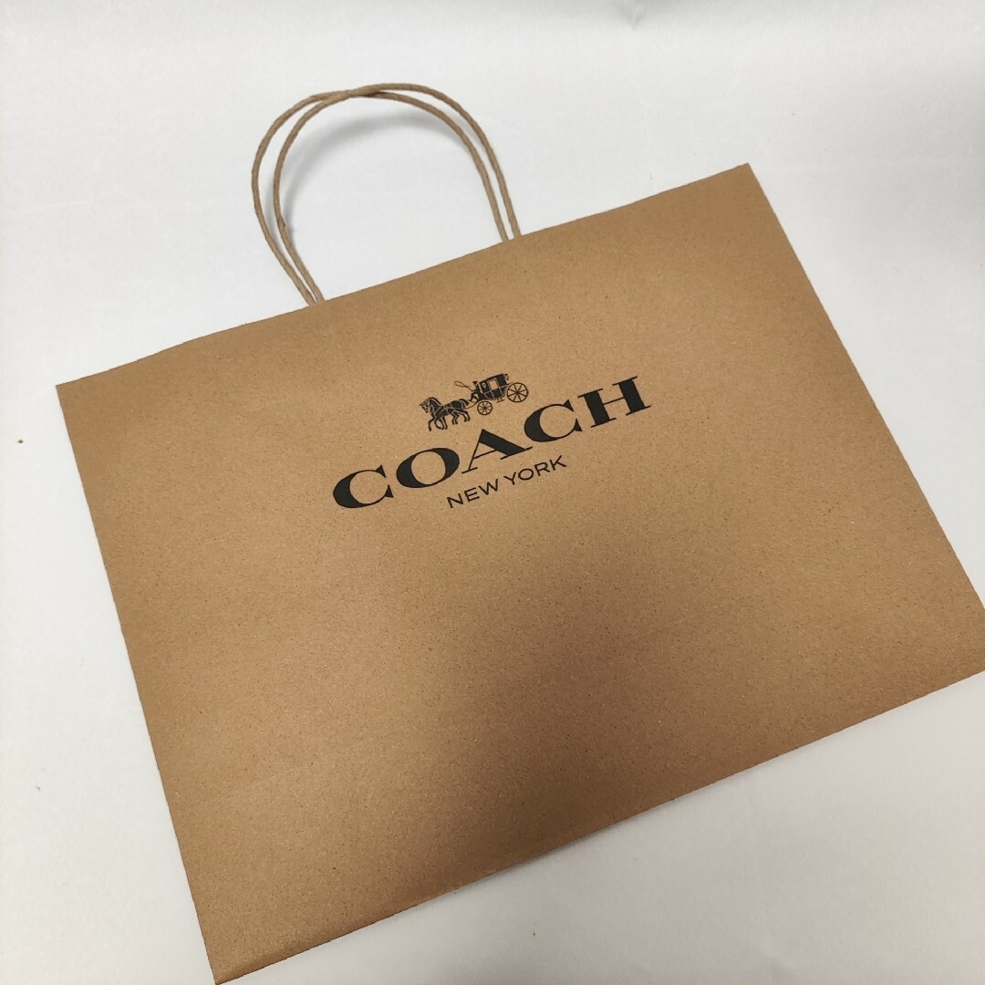 COACH(コーチ)の新品☆コーチ☆プルオーバー パーカー メンズのトップス(パーカー)の商品写真