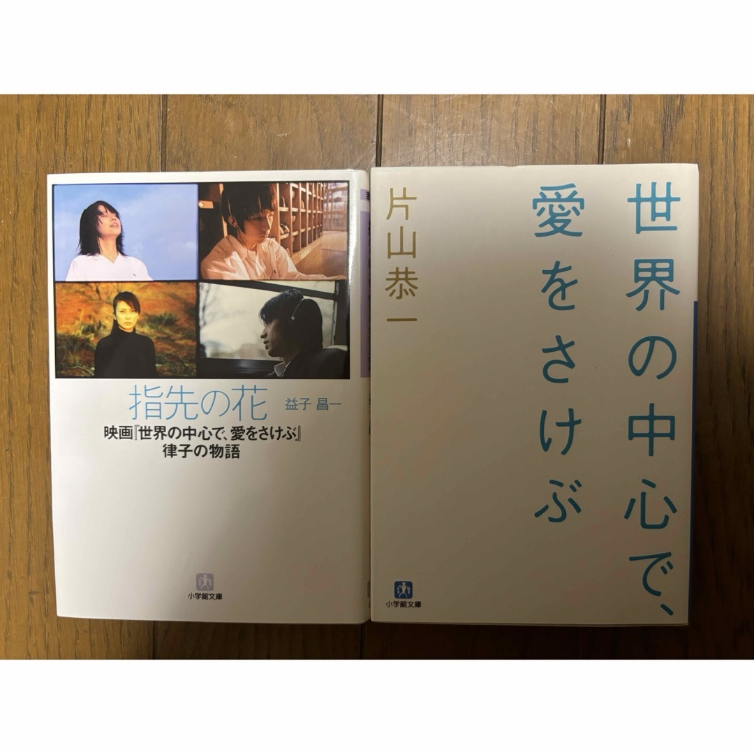 世界の中心で、愛をさけぶ ＆指先の花　映画『世界の中心で愛をさけぶ』律子の物語 エンタメ/ホビーの本(その他)の商品写真