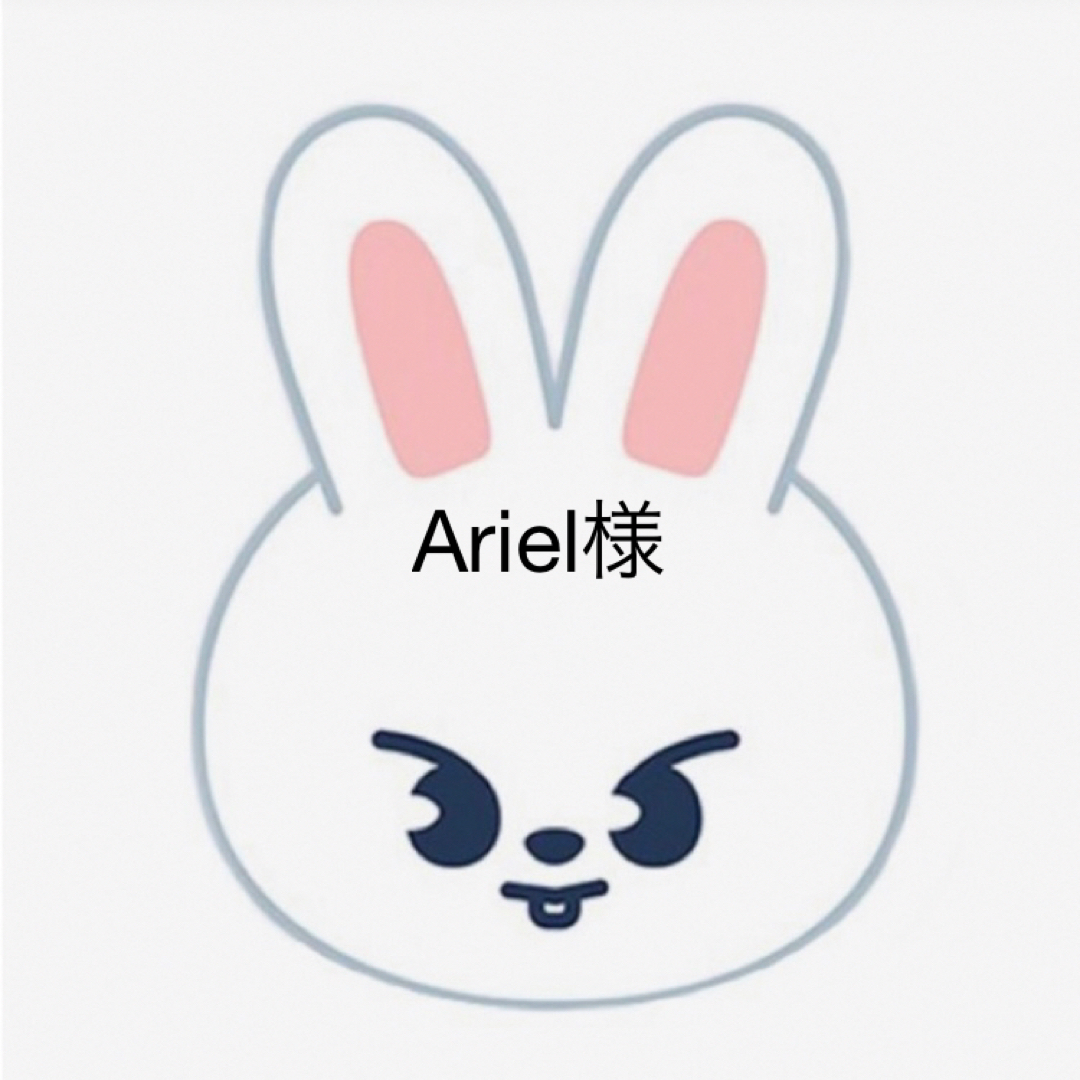 Ariel様 エンタメ/ホビーのタレントグッズ(アイドルグッズ)の商品写真